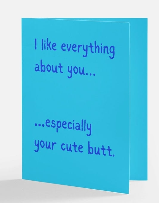 I Like Everything About You Greeting Card: Relationship Funny Card